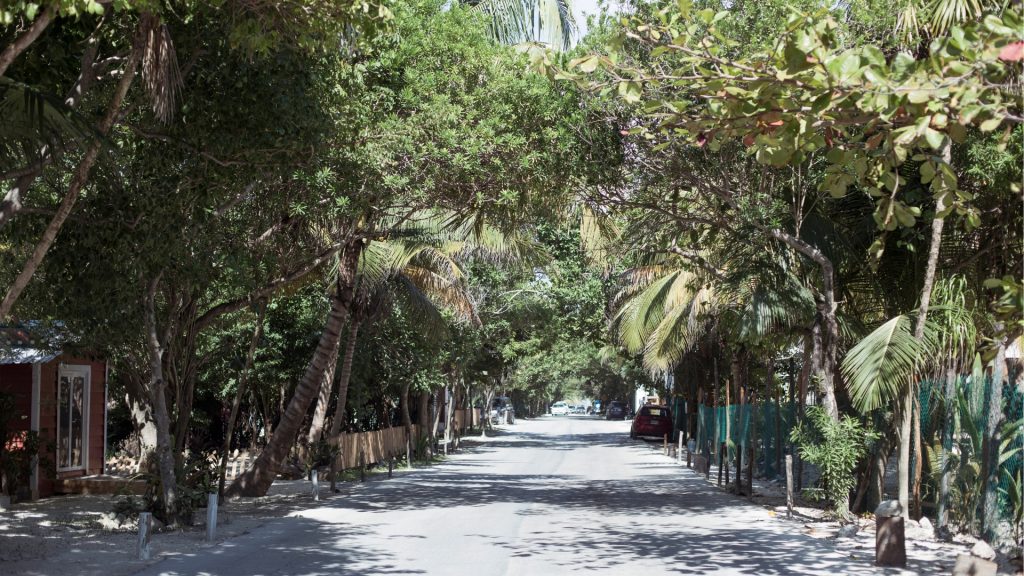 rent a scooter in Tulum and ride safe